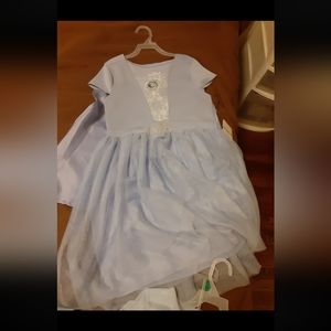 Princess Elsa dress
